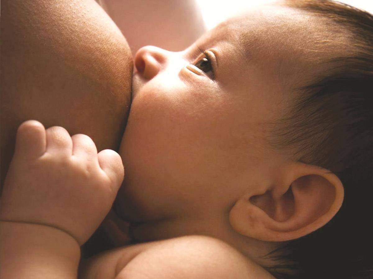 breast milk brands in India_kidsstoppress