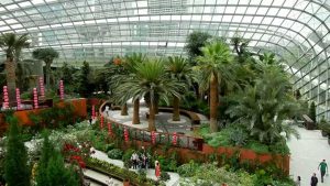 things to do in singapore 