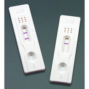 hcg pregnancy test