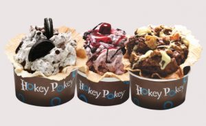 hokey pokey delhi ice cream 