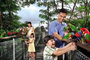 things to do in singapore with kids 