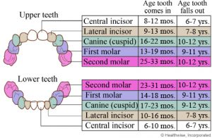 teeth loss among children