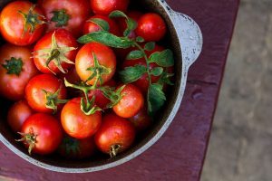 tomatoes lycopene 