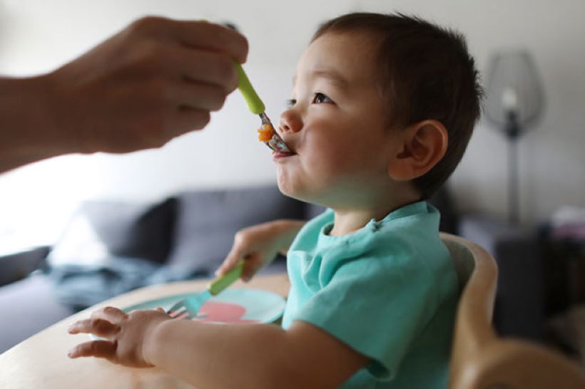 ksp-infant meal plan-website